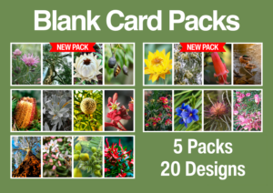 Overview of five available Kevin Hoffman Walk blank card packs, each featuring four nature photographs.