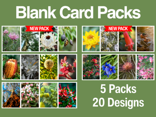 Overview of five available Kevin Hoffman Walk blank card packs, each featuring four nature photographs.