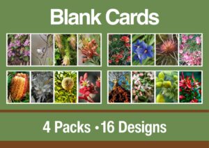 Blank Cards
