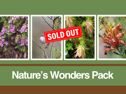 Four nature photographs featured in the Nature's Wonders blank card pack from the Kevin Hoffman Walk