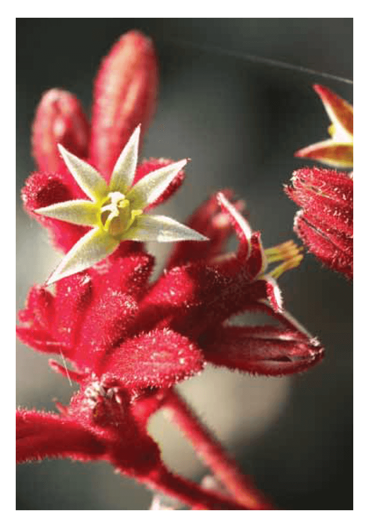 Blank Cards - Image 16