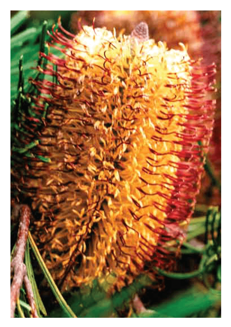Blank Cards - Image 13