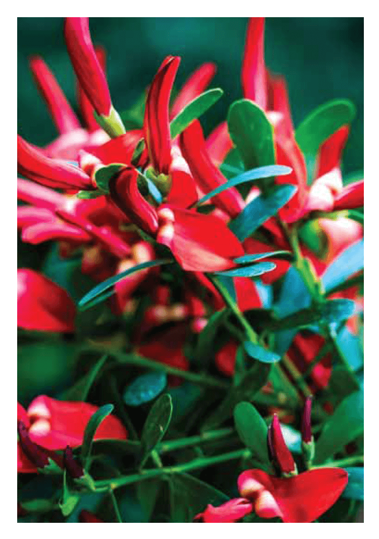 Blank Cards - Image 21