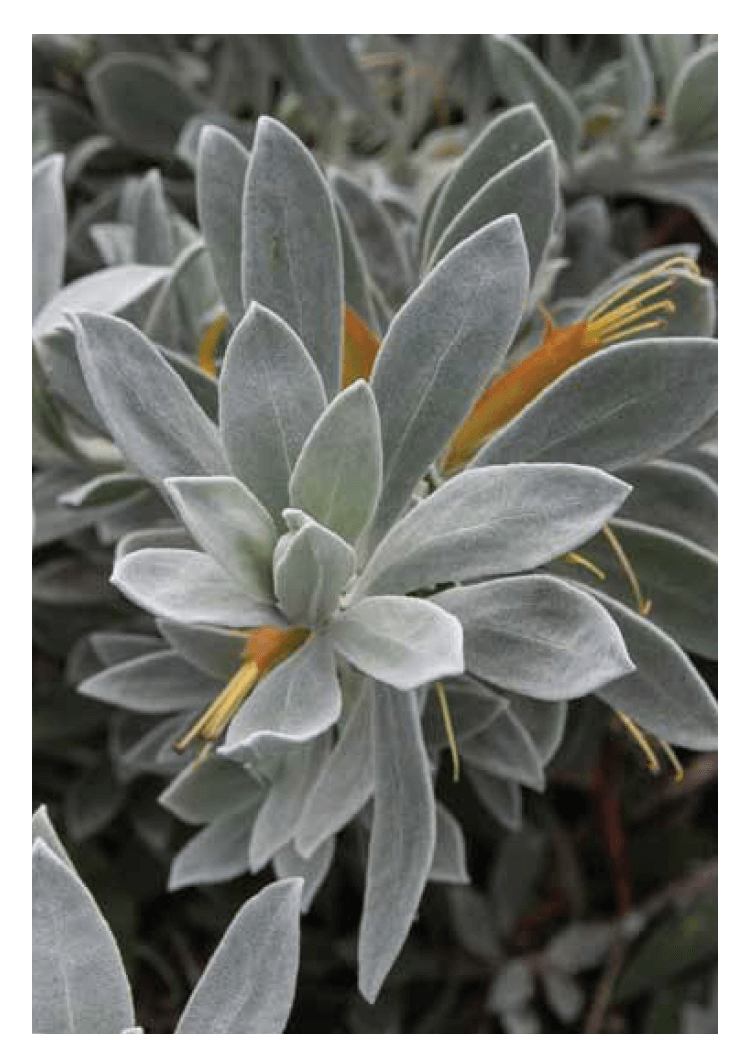 Blank Cards - Image 14