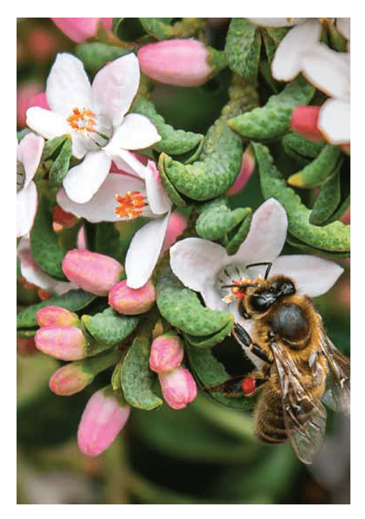 Blank Cards - Image 19