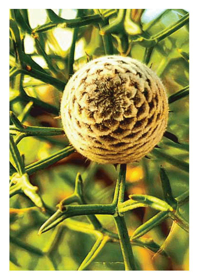 Blank Cards - Image 15