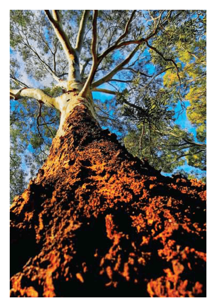 Blank Cards - Image 18