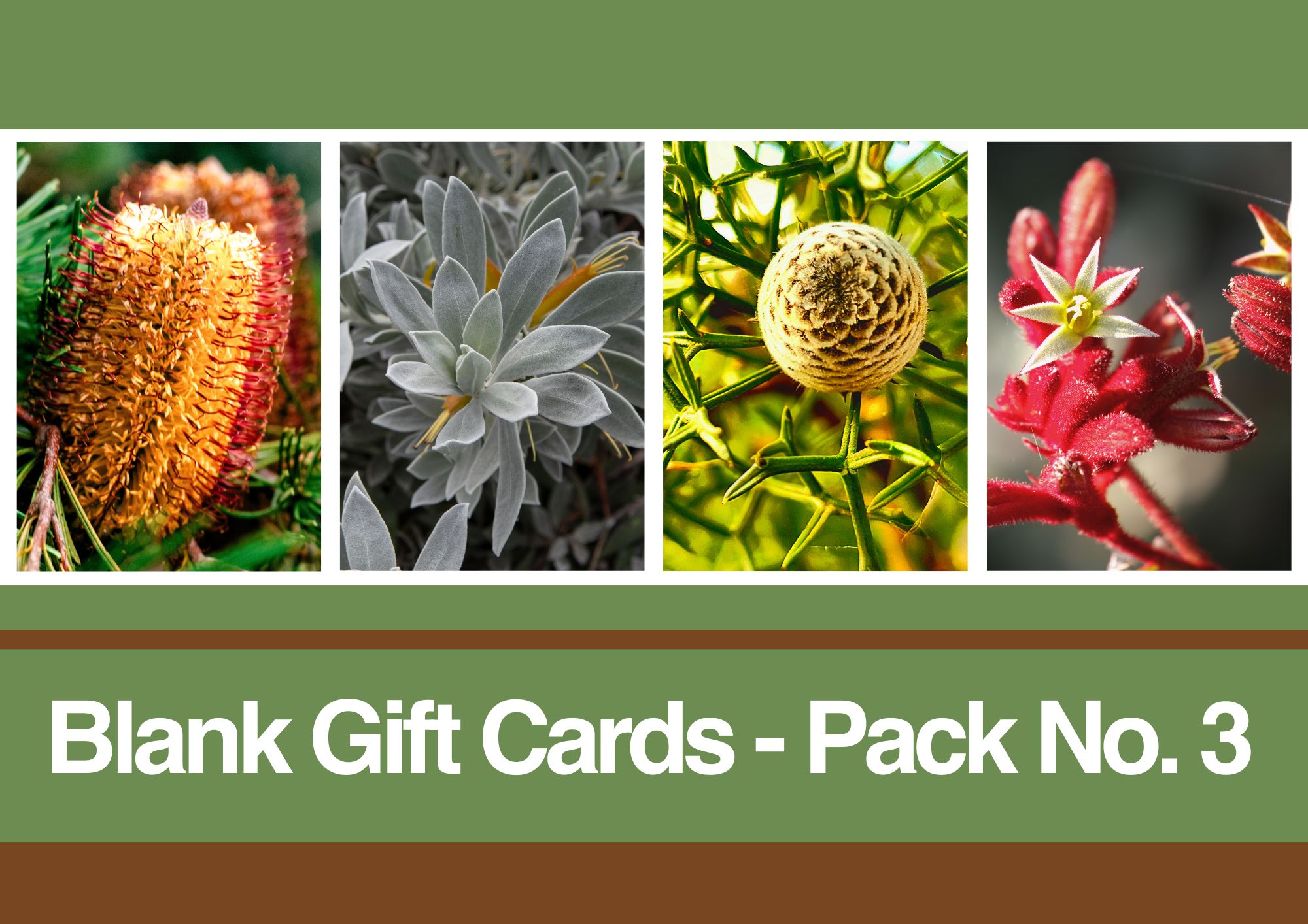 Blank Cards - Image 12