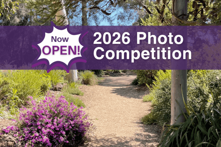 Sun-dappled path at Kevin Hoffman Walk with purple flowers, featuring a banner for the 2026 Photo Competition