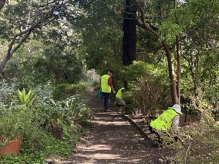 Volunteers and committee members planting Australian natives for the Refresh and Replenish Project on the Kevin Hoffman Walk.