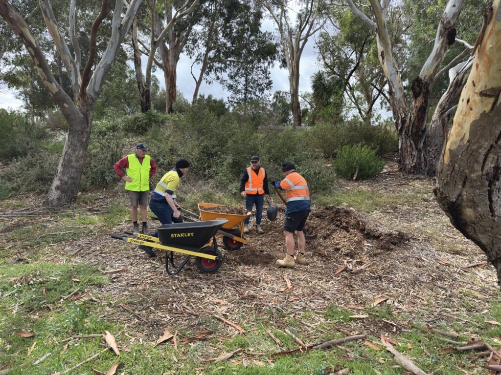 Volunteers using wheelbarrows to move mulch at Kevin Hoffman Walk