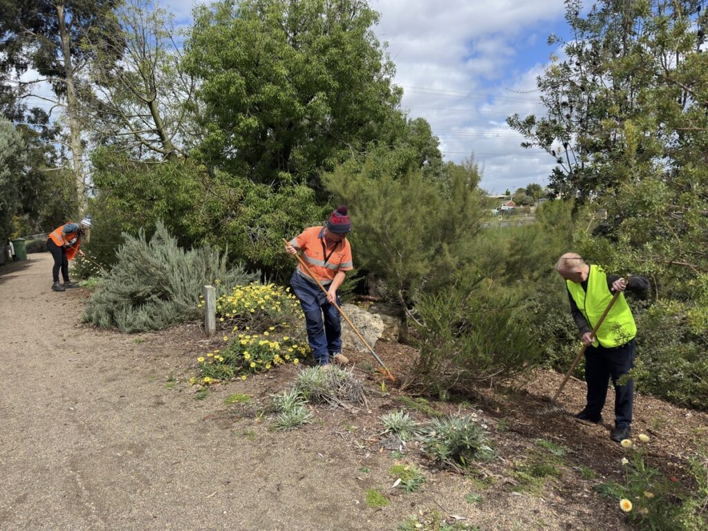 Cobram Estate & FKHW volunteers raking and spreading mulch along the path at Kevin Hoffman Walk