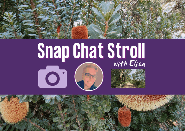 Graphic banner for Snap Chat Stroll No. 3 featuring Elisa's portrait and a scenic path, overlaid on a background of flowering Banksia bushes, an Australian native plant.