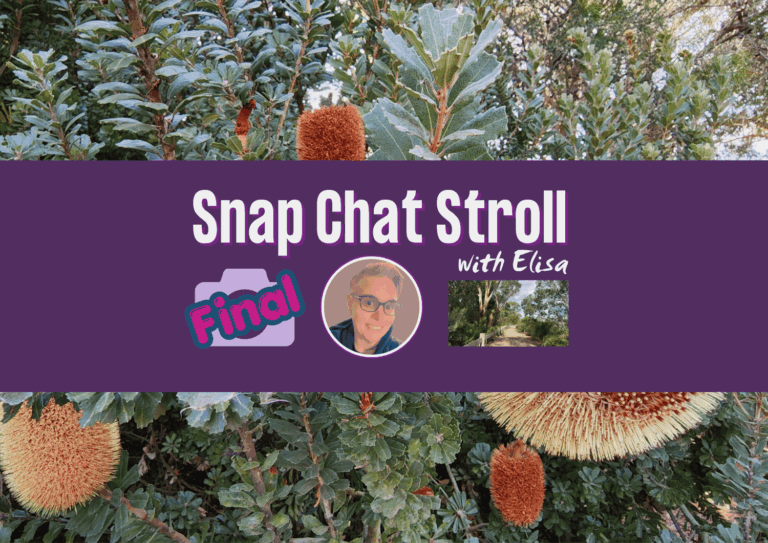 Graphic banner for Final Snap Chat Stroll No. 4 featuring Elisa's portrait and a scenic path, overlaid on a background of flowering Banksia bushes, an Australian native plant.