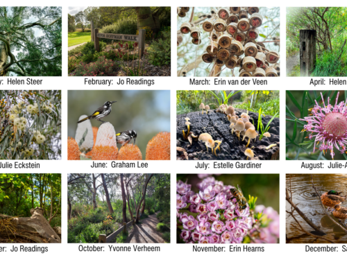 Grid of the 12 monthly photographs featured in the 2027 Kevin Hoffman Walk calendar.