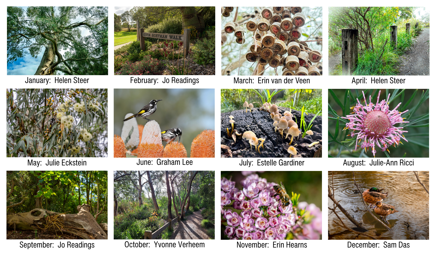 Grid of the 12 monthly photographs featured in the 2027 Kevin Hoffman Walk calendar.
