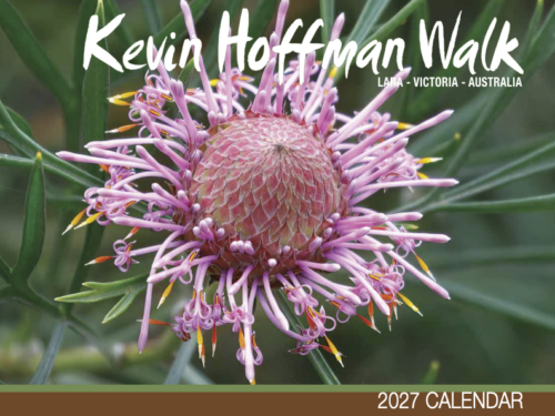 Front cover of the 2027 Kevin Hoffman Walk calendar, featuring the winning photograph by Julie-Ann Ricci.