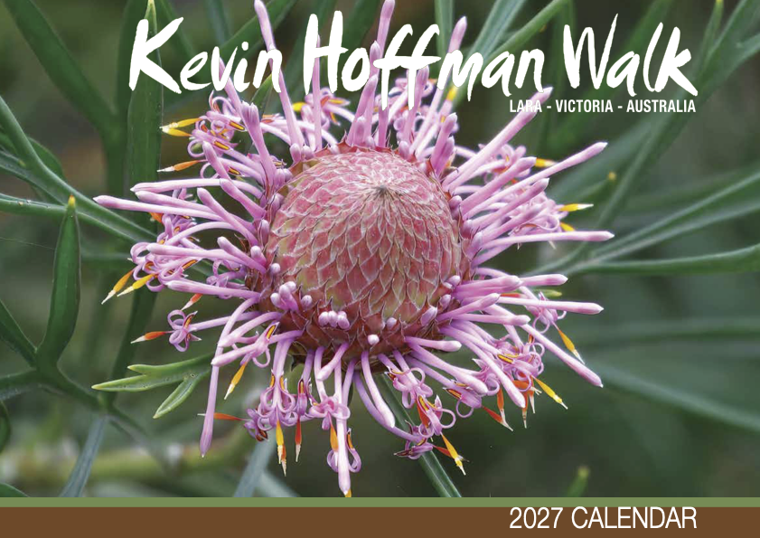 Front cover of the 2027 Kevin Hoffman Walk calendar, featuring the winning photograph by Julie-Ann Ricci.