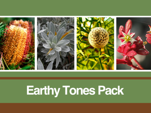 Four nature photographs featured in the Earthy Tones blank card pack from the Kevin Hoffman Walk