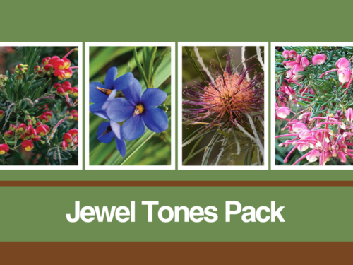 Four nature photographs featured in the Jewel Tones blank card pack from the Kevin Hoffman Walk