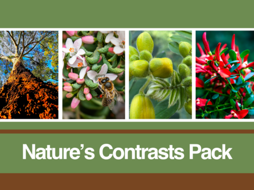 Four nature photographs featured in the Nature's Contrasts blank card pack from the Kevin Hoffman Walk