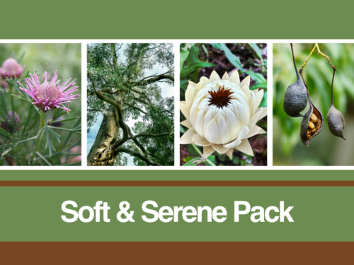 Four nature photographs featured in the Soft & Serene blank card pack from the Kevin Hoffman Walk